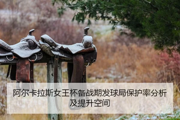 a-er-ka-la-si-nv-wang-bei-bei-zhan-qi-fa-qiu-ju-bao-hu-lv-fen-xi-ji-ti-sheng-kong-jian-2-521.jpg