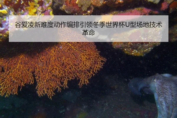 gu-ai-ling-xin-nan-du-dong-zuo-bian-pai-yin-ling-dong-ji-shi-jie-bei-xing-chang-di-ji-shu-ge-ming-3-389.jpg
