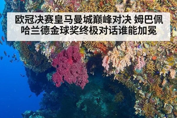 欧冠决赛皇马曼城巅峰对决 姆巴佩哈兰德金球奖终极对话谁能加冕