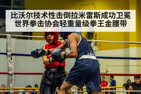 比沃尔技术性击倒拉米雷斯成功卫冕世界拳击协会轻重量级拳王金腰带